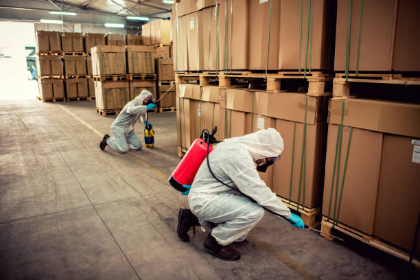Professional Pest Control in Middleville, MI