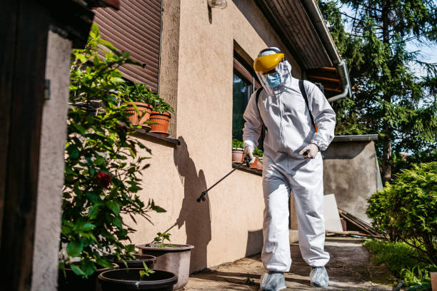 Best Pest Removal Services  in Ddleville, MI