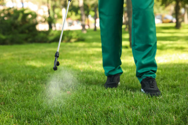 Best Ant Control Services  in Ddleville, MI