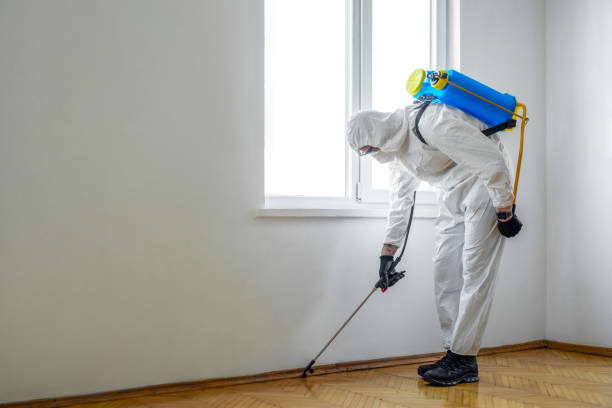 Best Best Pest Control Companies  in Ddleville, MI