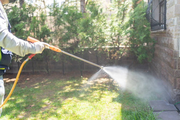 Best Pest Control for Restaurants  in Ddleville, MI