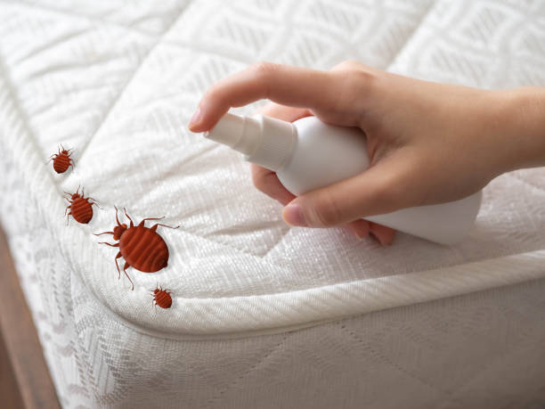  Ddleville, MI Pest Control Pros