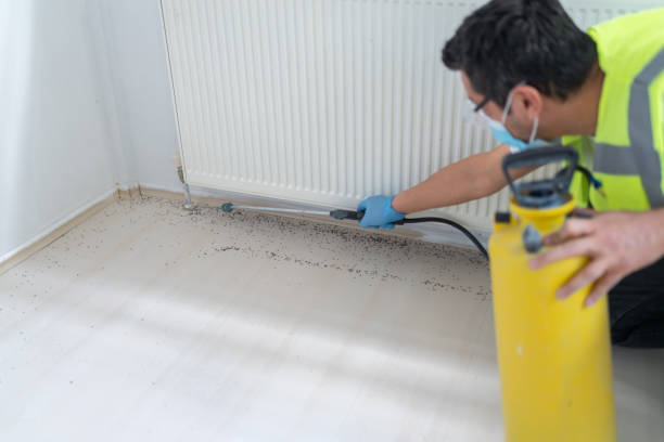 Best Cockroach Control Services  in Ddleville, MI