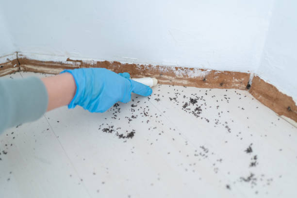 Best Wildlife Control Services  in Ddleville, MI