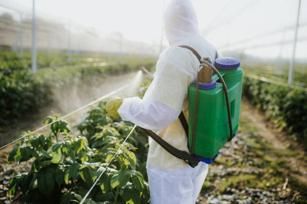 Best Pest Prevention Services  in Ddleville, MI
